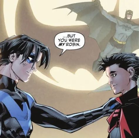 Nightwing Batman, Superhero Family, Wayne Family, Damian Wayne, Batman And Robin, Batman Family, Batman Robin, Detective Comics, Dynamic Duo