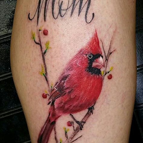 Red Bird Tattoo, Red Cardinal Tattoos, Quotes Tattoo Ideas, Small Cardinal Tattoo, Tattoo Feather, Red Bird Tattoos, Cardinal Tattoo, Cardinal Tattoos, Vogel Tattoo