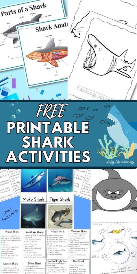 Free Printable Shark Activities Shark Activities For Kids, Shark Crafts Preschool, Science Center Preschool, Shark Printables, Shark Quilt, Shark Activities, Shark Games, Ocean Theme Preschool, Shark Craft