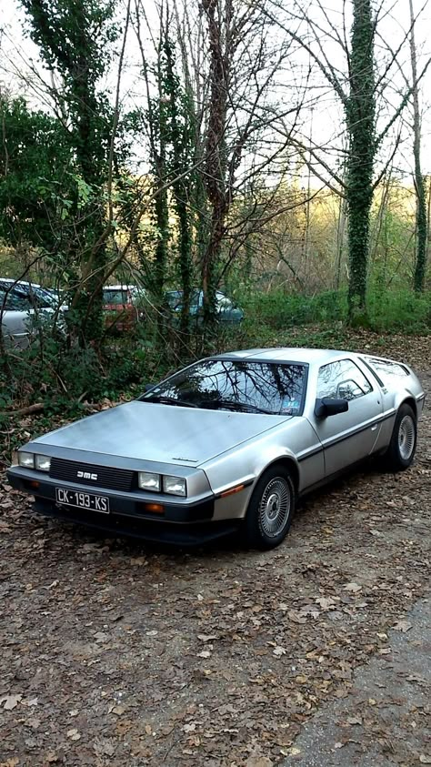 Dmc 12 Delorean, Delorean Car, Delorean Dmc-12, Dmc Car, Scirocco Volkswagen, Motor Mechanics, Dmc Delorean, Muscle Car, Vw T1