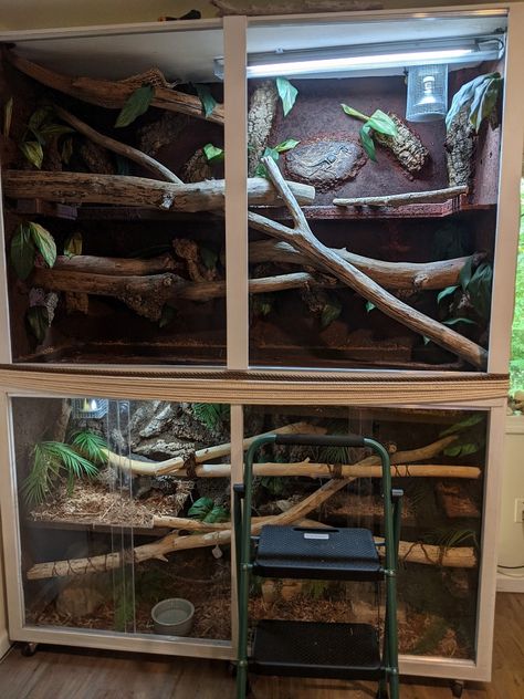 Ball Python Enrichment, Diy Snake Enclosure, Boa Enclosure, Snake Enrichment, Ball Python Enclosure, Snake Tanks, Python Enclosure, Python Tank, Bearded Dragon Terrarium Ideas