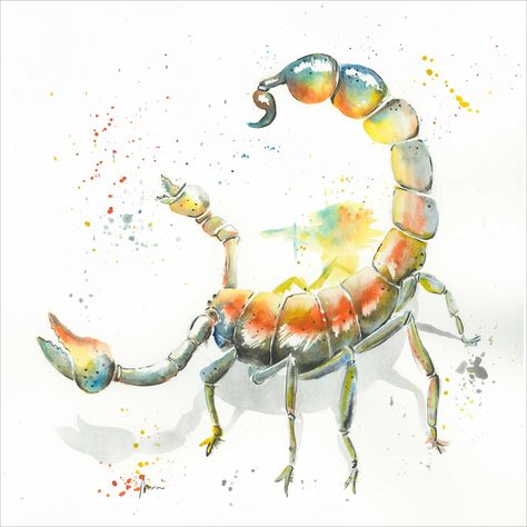 Watercolor Scorpion, Sketching References, Daffodil Tattoo, Animals Watercolor, Watercolor Animals, Freelance Illustrator, Children's Books, Daffodils, Visual Artist