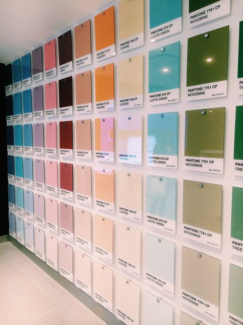 To spice up a blank wall in one of our new branches, we printed these acrylic Pantone colours. We gotta say, we love how they turned out. Pantone Wall, Pantone Print, Pantone Colours, Donor Wall, Paint Store, Printing House, Material Library, English Classroom, Color Chip