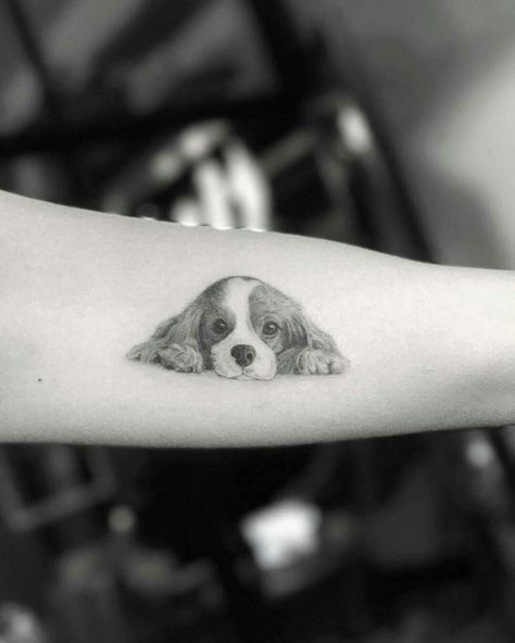 Dog Portrait Tattoo, Tattoo Trend, Cute Tattoos For Women, Home Tattoo, Dog Tattoo, Trendy Tattoos, Dog Tattoos, Cavalier King, Charles Spaniel