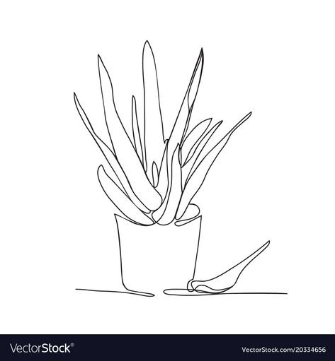 Aloe Plant Drawing, One Line Plant Drawing, Aloe Plant Tattoo, Aloe Illustration, Greenhouse Tattoo, Aloe Tattoo, Aloe Vera Tattoo, Continuous Line Art, Line Art Drawing