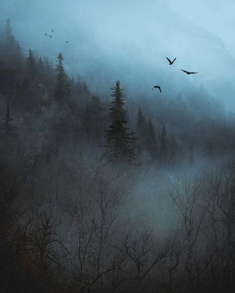 Spooky Forest Aesthetic, Spooky Scotland, Moody Scotland, Creepy Forest, Scotland Aesthetic, Moody Forest, Spooky Forest, Scotland Landscape, Dark Water