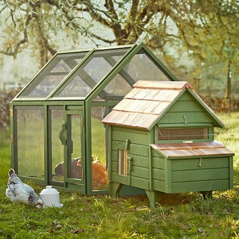 BriarExtendedChickenCoop WmSonoma Chicken Coop Kit, Chicken Houses, Pet Turf, Chicken Coop Decor, Family Homestead, Chicken Coup, Green Chicken, Chicken Coop Run, Chicken Ideas