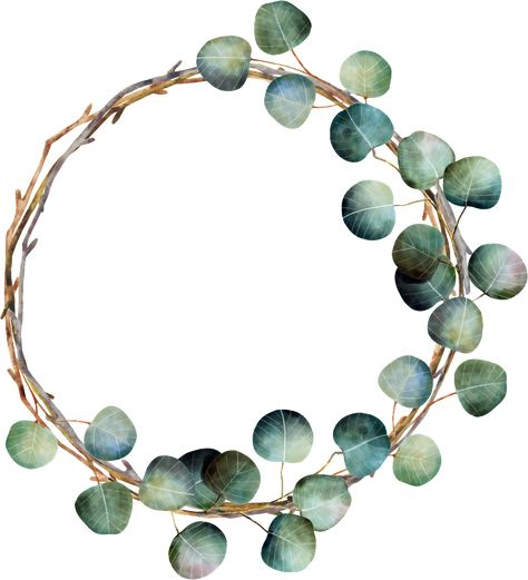 Christmas Eucalyptus, Watercolor Christmas Wreath, Clove Leaf, Watercolor Wreath, Eucalyptus Branches, Wreath Drawing, Wreath Watercolor, Watercolor Christmas, Christmas Watercolor