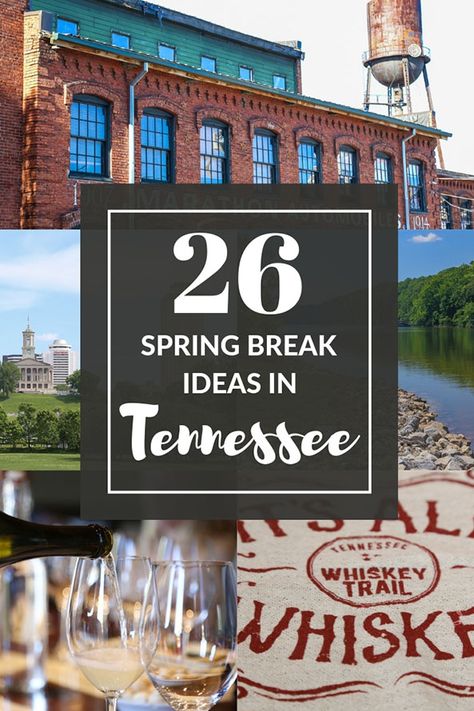 Tennessee Spring Break Idea Nashville Spring Break, Spring Break Clothes, Spring Break Ideas, Traveling Usa, Drinking Whiskey, Interesting Activities, Break Ideas, Southern Travel, Spring Break Destinations