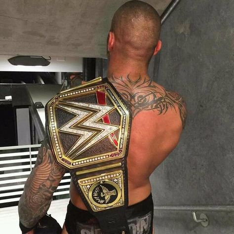 Wwe Facts, Randy Orton Wwe, Wwe T Shirts, Wwe Tna, Wwe World, Randy Orton, Wwe Champions, Wrestling Wwe, Wwe Photos