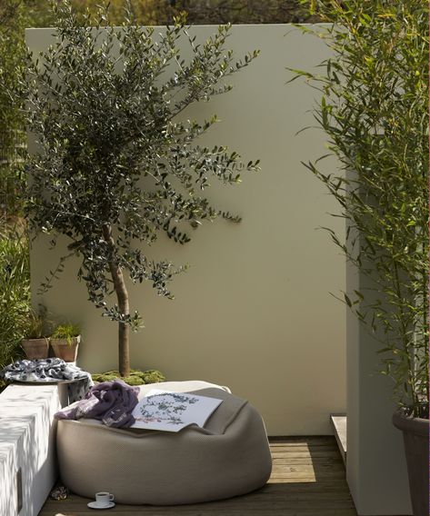 Garden Walls Painted, Outdoor Wall Colour Paint Colors, Garden Painted Wall, Painted Courtyard Wall, Garden Wall Planting Ideas, Tall Garden Wall Ideas, Dark Garden Walls, Garden Wall Colour Ideas, Patio Wall Paint Ideas