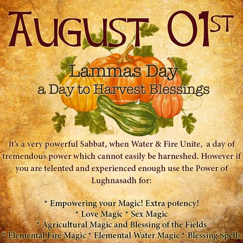 Bone Witch, Pagan Holidays, Witch's Cauldron, Pagan Festivals, Harvest Blessings, Wiccan Witch, Eclectic Witch, Cook Up A Storm, Witch Spell