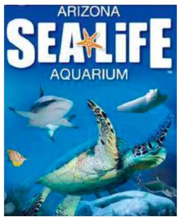 Screen Shot 2016-02-15 at 12.06.21 PM Sea Life London, London Aquarium, Sea Life Centre, London Attractions, Fishing Pictures, Visit London, Outdoor Events, Sealife, Buy Tickets