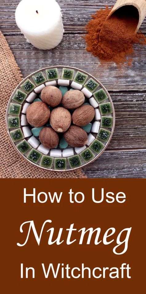 9 Ways to Use Nutmeg in Witchcraft - Moody Moons Samhain Recipes, Samhain Ritual, Kitchen Witch Recipes, Nutmeg Essential Oil, Witchcraft Magic, Kitchen Witchery, Oktoberfest Beer, Love Oil, Red Chili Peppers