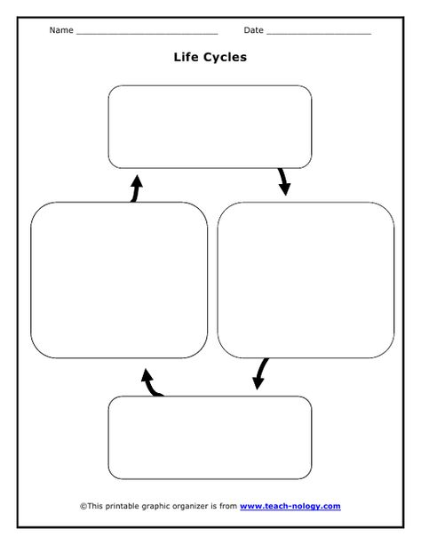 Printable Life Cycle Chart Diagram Chart, Educational Worksheets, Worksheet Template, Home Learning, Student Activities, Life Cycles, Graphic Organizers, Printable Worksheets, Learning Activities