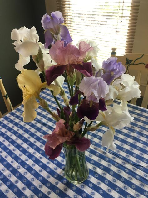 Iris bouquet after raiding my garden beds Bouquet D’iris, Wedding Bouquets Iris, Iris Flowers Bouquet, Iris Flower Bouquet, Iris Wedding Flowers, Iris Wedding Bouquet, Wlw Wedding, Iris Wedding, Iris Bouquet