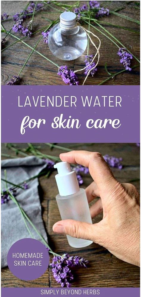 Learn to create Herb Recipes with lavender water for skin care. This refreshing and relaxing lavender hydrosol, made from fresh or dried lavender, offers amazing astringent benefits for your skin. Perfect for DIY skin care routines. Find more herbalism recipes, DIY skin care, and healing plants at simplybeyondherbs.com. Herbalism Recipes, How To Make Shampoo, Lavender Hydrosol, Herb Diy, Lavender Skin, Herbal Skincare, Lavender Recipes, Lavender Lotion, Lavender Water