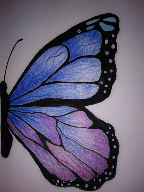 Sketch Book Butterfly, Things To Draw With Color, Drawing Ideas Butterfly, Colorful Sketches, Butterflies Drawing, Butterfly Colour, Creative Teachers Gifts, Side View Drawing, Moth Drawing