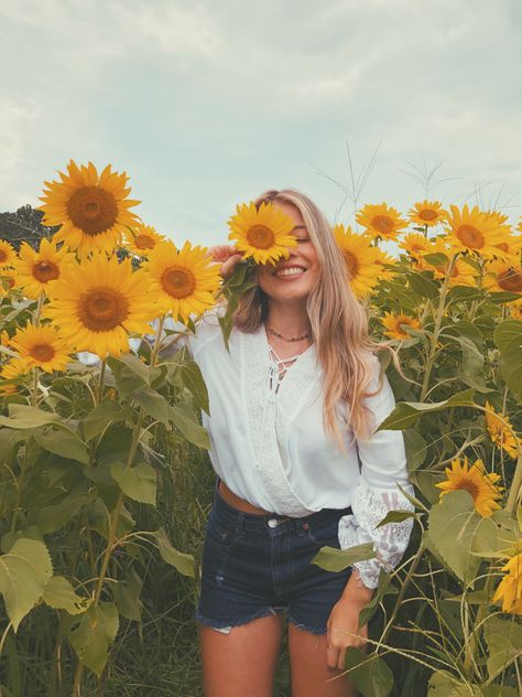 Sunflower field Sunflower Picking, Sunflower Pics, Sunflower Field Photography, Sunflower Field Pictures, Field Senior Pictures, Sunflower Photoshoot, Field Photoshoot, Sunflower Photography, Sunflower Photo