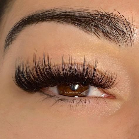 Lashes With Spikes, Wispy Hybrid, Eyelash Styles, Lash Extentions, Hybrid Cat, Perfect Eyelashes, Pretty Lashes, Volume Lashes, Lash Artist