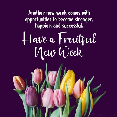 New Week Quotes, Monday Inspirational Quotes, Monday Greetings, Monday Wishes, Happy Monday Quotes, Monday Morning Quotes, Daily Wishes, Good Monday Morning, Blessed Week