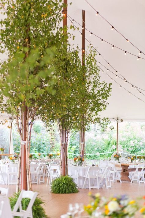 Long Wedding Tables, Rustic Vineyard Wedding, Wedding Tree Decorations, Reception Tent, Tent Wedding Reception, Meadow Wedding, Long Table Wedding, New York Wedding Venues, Rustic Wedding Chic