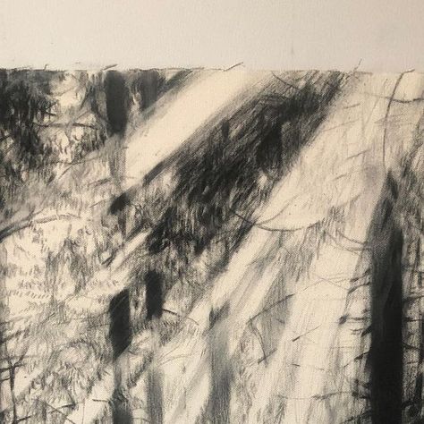 bakjyng on Instagram: "Charcoal on canvas. 20x24 . Something warm and fuzzy.. . #contemporarydrawing #drawing #charcoaldrawing #charcoalart #charcoallandscape #landscapedrawing #forest" Charcoal Landscape Art, Charcoal On Canvas, Outdoors Drawing, Charcoal Landscape, Charcoal Bedroom, Drawing Charcoal, Charcoal Art, Landscape Drawings, Charcoal Drawing