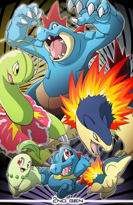 Generation 2 Pokemon Starter, Pokemon Facts, Water Pokemon, Cool Pokemon Cards, Pokemon Starters, Mega Pokemon, Game Fanart, Pokemon 20, Pokemon Eeveelutions