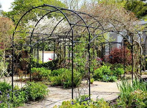 Garden Arches Ideas, Modern Backyard Garden, Arches Garden, Trellis Ideas Garden, Outdoor Trellis Ideas, Arches Design, Garden Trellis Ideas, Garden Archway, Trellis Ideas