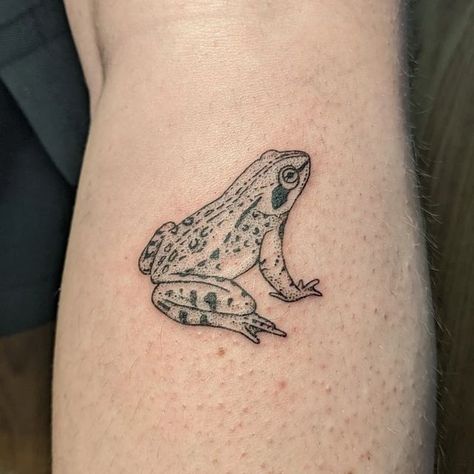 Leopard Frog, Wood Frog, Tree Frog Tattoos, Earthy Tattoos, Frog Tattoo, Tatoo Inspiration, Bug Tattoo, Mushroom Tattoos, Epic Tattoo