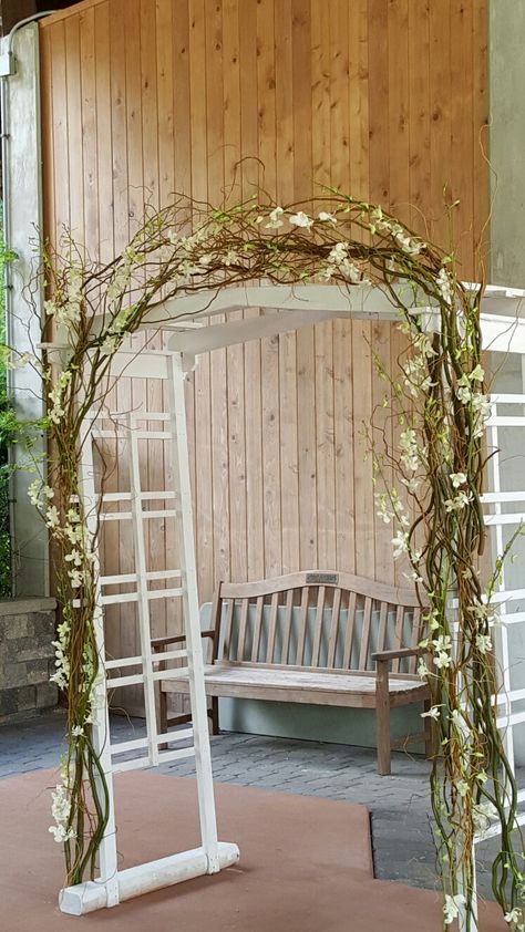 Willow Tree Decorations Wedding, Weeping Willow Tree Wedding Ceremony, Curly Willow Arch, Pantry Arch, Willow Wedding Arch, Curly Willow Wedding, Willow Arch, Branch Arch Wedding, Tree Wedding Ceremony