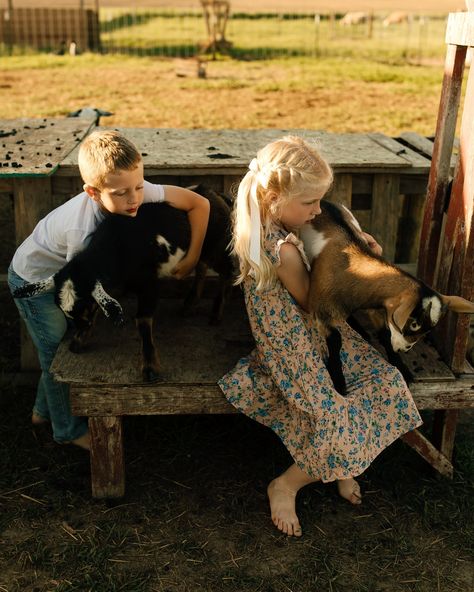 Does this styled shoot belong in a homestead farm magazine or WHAT?! 😭🐓🐮🐐 Shoot hosted by @laurynborstphoto & @kmellemaphotography - #countryfarmmagazine #homestead #countryliving #westerncouplephotographer #couplephotographer #weddingphotographer #farmphotography #michiganengagementphotographer #michiganphotographer #countryliving #countrylivingmag #michigancouplesphotographer Country Style Family Pictures, Farm Love Aesthetic, Farm Magazine, Farm Life Photography, Farm Couple, Farmer Family, Farm Photoshoot, Dream Homestead, Farm Photos