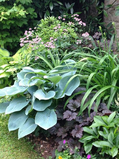 Lush planting Shady Border Plants Uk, Shady Garden Ideas, Shade Planting, Shady Border, Shady Garden, English Garden Design, Shade Garden Plants, Hosta Gardens, Front Yard Garden Design