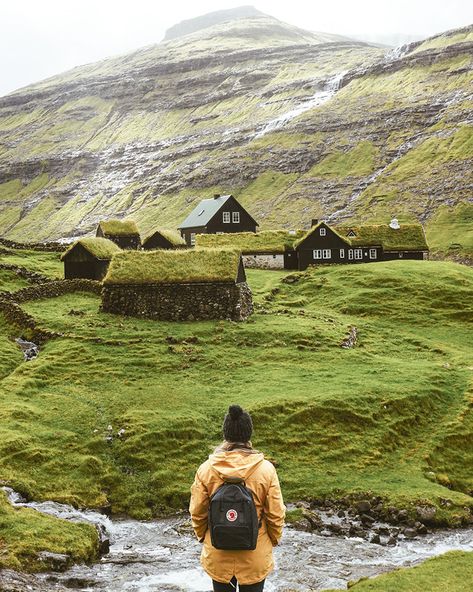 The September Chronicles - The Faroe Islands Faroe Islands Travel, Faroe Island, Adventure Guide, Voyage Europe, Faroe Islands, Island Travel, To Infinity And Beyond, Lungs, The Grass