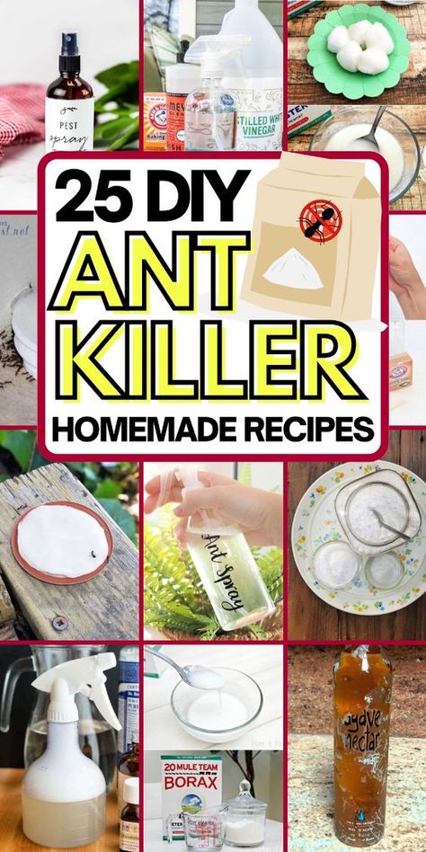 Say goodbye to ants with these safe and natural DIY ant killer recipes. Diy Ant Killer Indoor, Ant Repellent Diy Indoor, Ant Killer Natural, Ants Repellent Diy, Diy Ant Killer, Borax For Ants, Ant Killer Recipe, Solar Diy Projects, Homemade Ant Killer