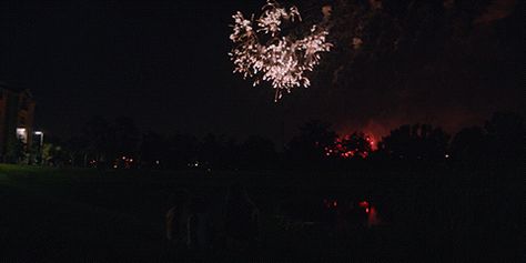 Fireworks Movie, Fireworks Banner Gif, Gif Fireworks, The Florida Project, Quvenzhané Wallis, Firework Show Aesthetic, Fireworks Aesthetic Gif, Fireworks Live Wallpaper, Florida Project