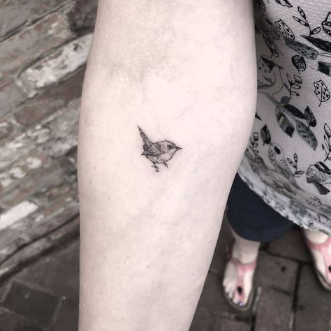 Top 61 Best Small Bird Tattoo Ideas - [2021 Inspiration Guide] Small Bird Tattoo Ideas, Small Sparrow Tattoos, Chickadee Tattoo, Bird Tattoo Ideas, Olive Tattoo, Small Bird Tattoos, Bird Tattoo Men, Little Bird Tattoos, Bluebird Tattoo