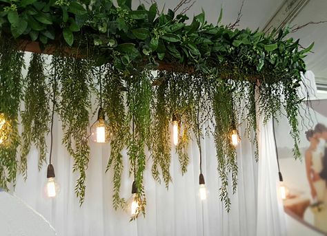 wedding expo central coast 2016 Top Wedding Registry Items, Light Green Walls, Hanging Light Bulbs, Green Centerpieces, Restaurant Themes, Boutique Decor, Wedding Expo, Wedding Invitations Online, Plant Decor Indoor