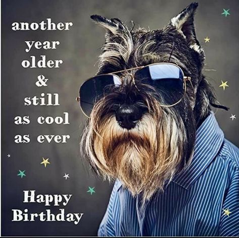 Black Male Birthday, Happy Birthday Men Male, Happy Birthday Humor Hilarious, Happy Birthday Male Friend, Funny Happy Birthday Images, Happy Birthday Wishes Pics, Birthday Wishes Pics, Happy Birthday Man, Cards For Men