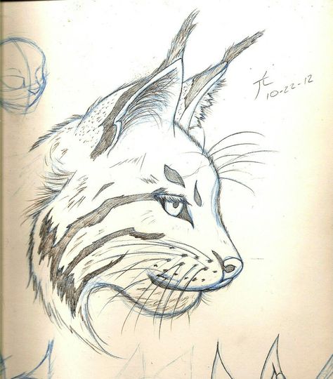 Lynx Sketch, Lynx Drawing, Realistic Animal Drawings, Warrior Cats Art, Swag Art, Drawing Projects, Art Drawings Sketches Creative, Drawing Easy, Anime Drawings Tutorials