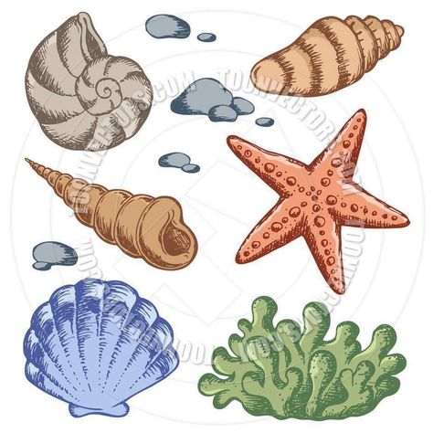 Shells Drawings, Starfish Drawing, Under The Sea Clipart, Sea Clipart, Ocean Clipart, Shell Drawing, Ocean Drawing, Clip Art Pictures, Seashell Painting