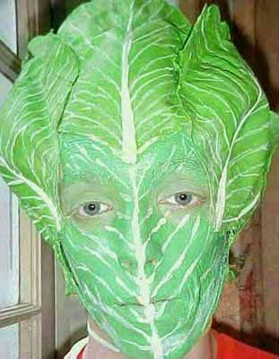 Walking Head Of Lettuce | Quipster Grammar Day Costume! Chou Rave, Bizarre Foods, Head Of Lettuce, Kinds Of Fruits, Easy Costumes, Dark Soul, Funny Halloween Costumes, Food Festival, Natural Healing