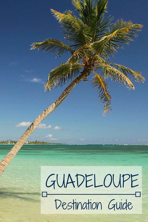 Guadeloupe caribbean islands Travel Destination Guide  @michaelOXOXO @JonXOXOXO @emmaruthXOXO  #MAGICALGUADELOUPE Guadalupe Island Caribbean, French Caribbean, Padi Diving, Marie Galante, Summer Vacation Destinations, Caribbean Vacations, Caribbean Travel, Destination Voyage, Koh Tao