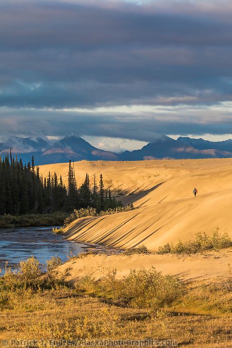 Ahnewetut Creek flows through the Great Kobuk Sand Dunes in the Kobuk Valley National Park, Arctic, Alaska. Kobuk Valley National Park, Mountains In The Distance, Road Town, Alaska Photos, Alaska Wildlife, American National Parks, Arctic Circle, Us National Parks, Sand Dunes