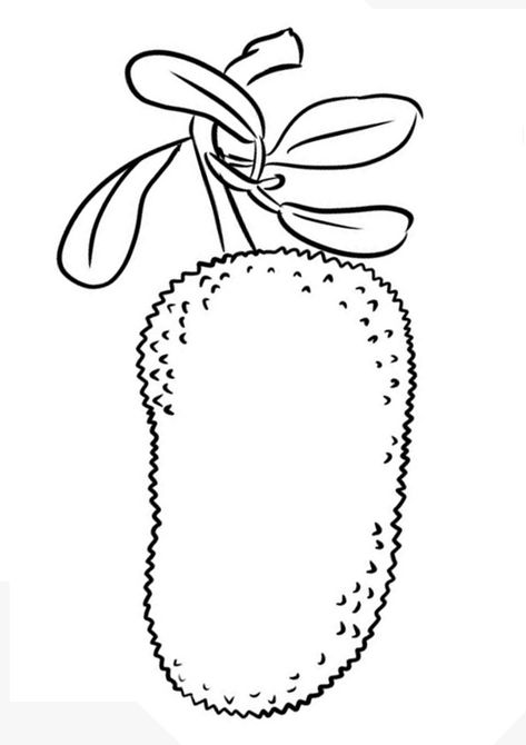 Printable Jackfruit Coloring Page for Toddlers Jackfruit Images, Jackfruit Drawing, Fruits Coloring Pages, Tree Line Drawing, Coloring Worksheets For Kindergarten, Jackfruit Tree, Animal Pictures For Kids, Fruit Coloring, Creative Clips