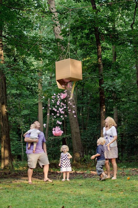 jenni from the blog: The Reveal Gender Reveal Drop Box Diy, Balloon Drop Gender Reveal, Gender Reveal Photo Shoot, Pregnancy Announcement Photography, Gender Reveal Box, Hanging Balloons, Gender Reveal Announcement, Gender Reveal Photos, Balloon Drop