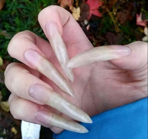 Long Natural Nails, Curved Nails, Pointy Nails, Manicure Nails, The Queens, Clear Nails, Nails On Fleek, Swag Nails, Natural Nails