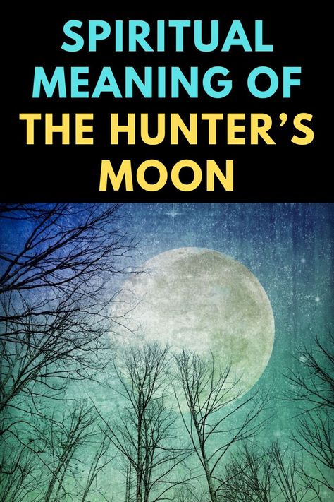 Hunters Moon Meaning, Hunter Moon Ritual, Hunters Moon Ritual, Hunter Moon, Healing Exercises, Fool Moon, Moon Spirituality, Hunters Moon, Wiccan Rituals