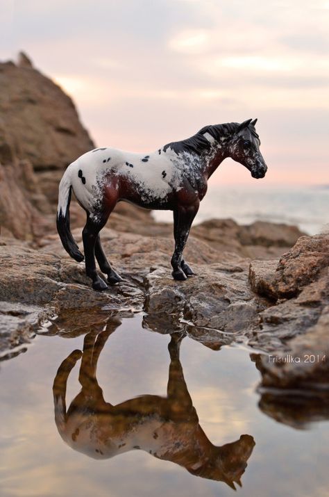 This Schleich horse was photographed by a very talented photographer! Well done. #Jupinkle Bryer Horses, Horse Inspiration, Appaloosa Horses, Custom Horse, All The Pretty Horses, Toy Horse, Horse Crazy, Breyer Horses, Horse Sculpture