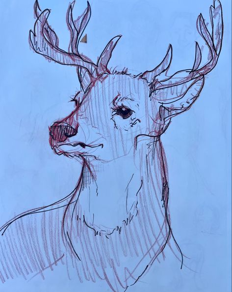 Doe Sketch Deer, Deer Doodle Easy, Deer Doodle, Dear Drawing, Deer Drawing, Deer Doe, Swipe File, Dog Sketch, Comic Drawing